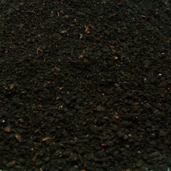 Turba Negra